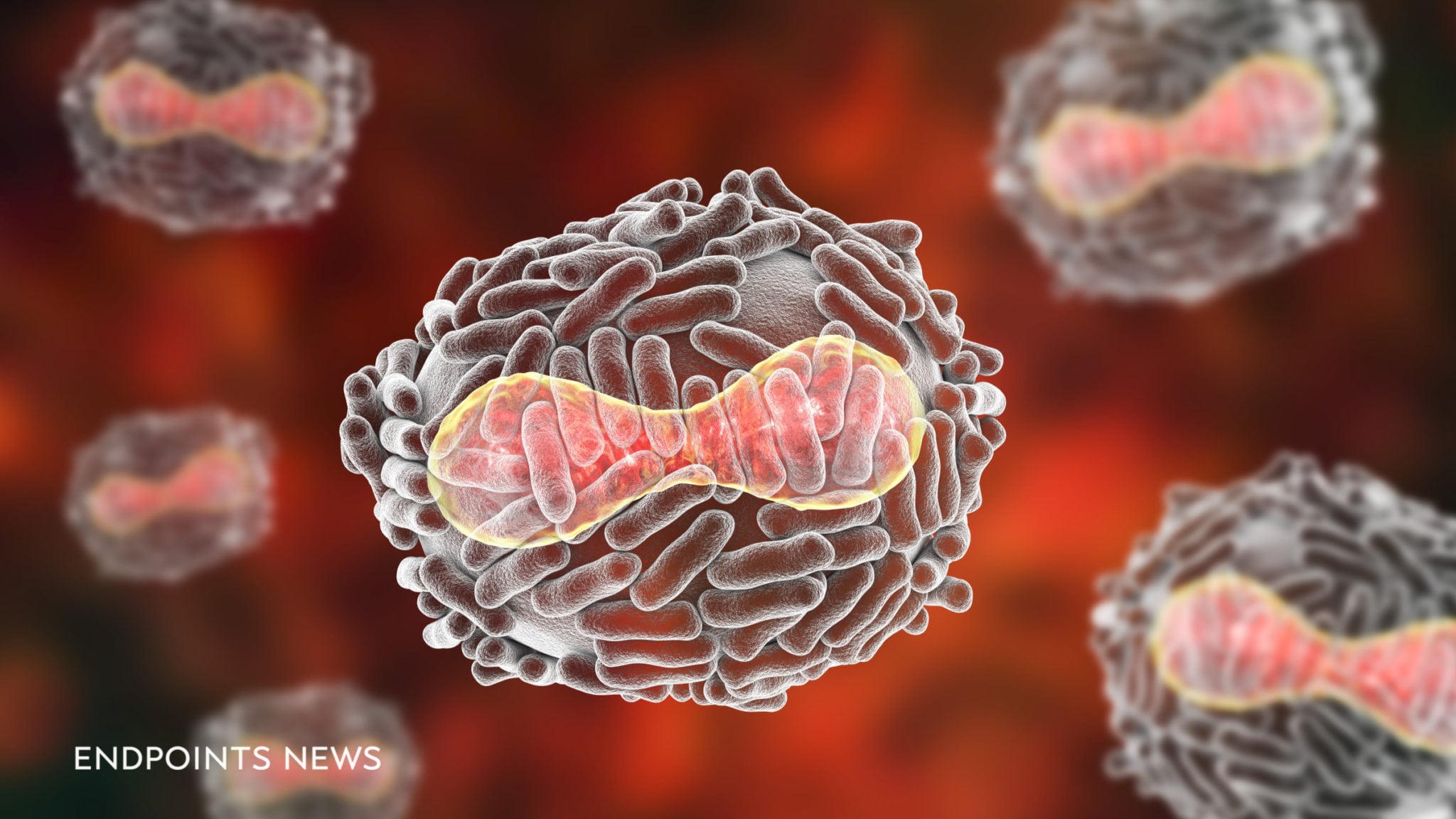 Guarding against a nightmare scenario, FDA approves new drug to counter smallpox ...