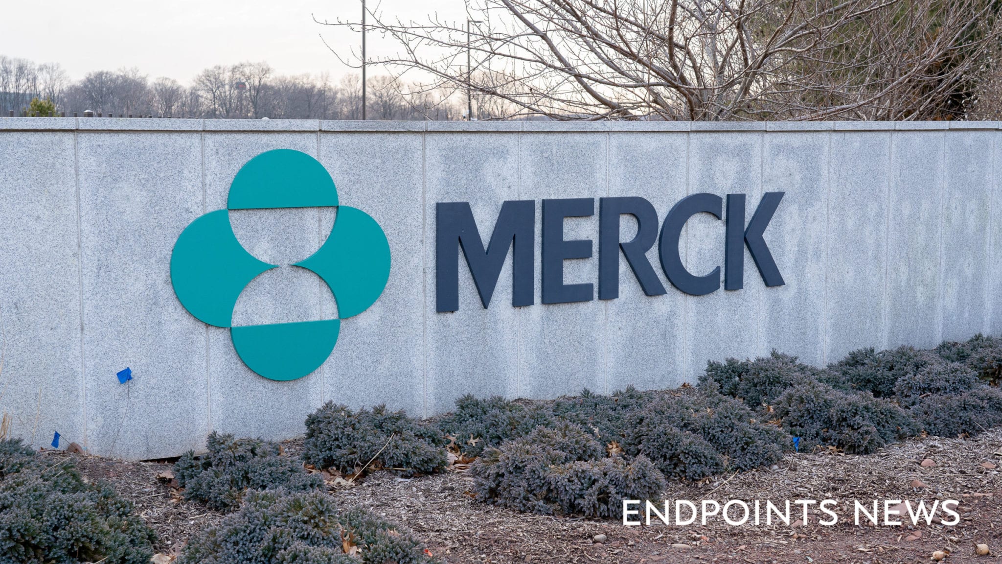 As Merck celebrates rising flow of Keytruda cash, execs plot facility