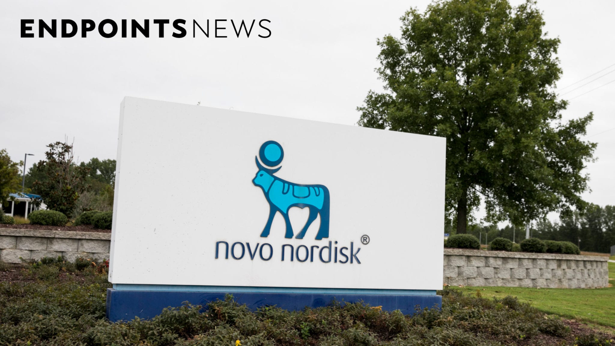 Novo Nordisk Quietly Nabs A Rare ‘breakthrough’ Status In NASH For Its ...