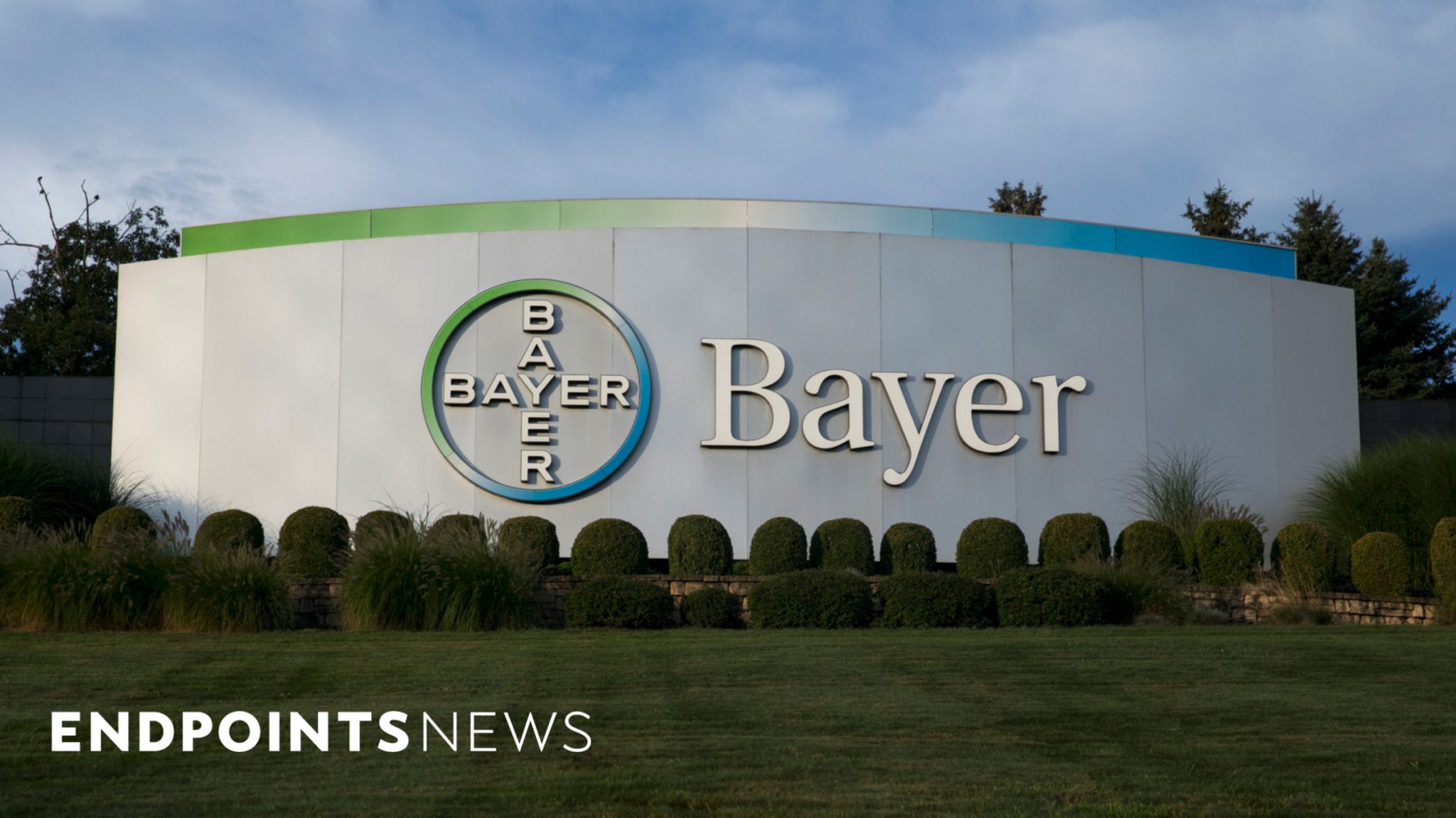 Bayer sounds retreat from a $670 million CAR-T pact in the wake of a patient death