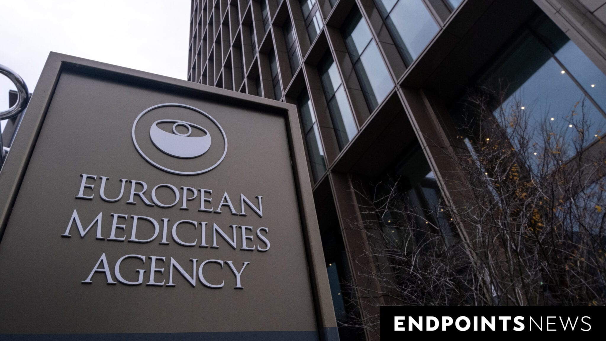 EMA recommends revoking authorization of Novartis’ sickle cell drug