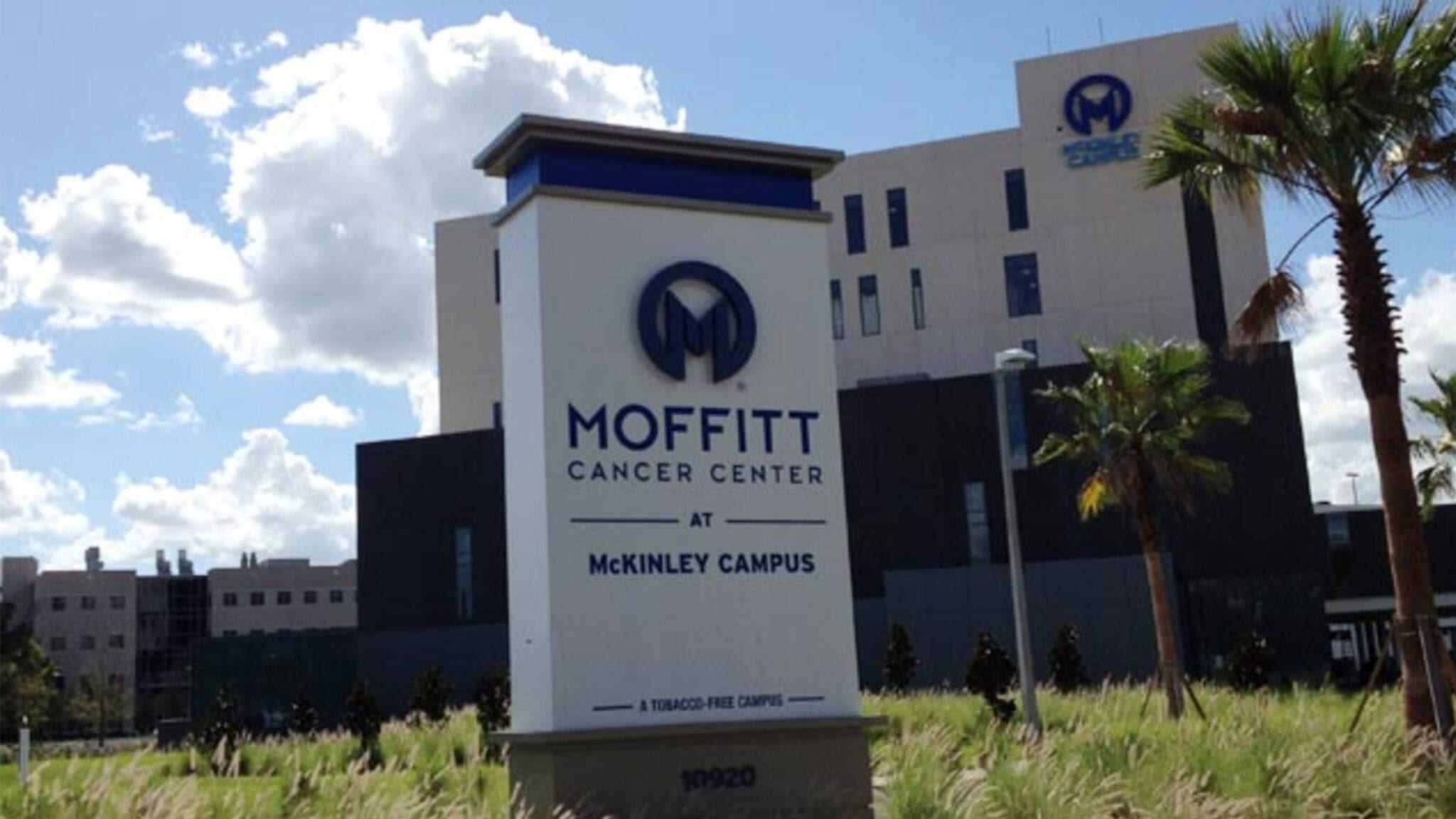 FDA slaps a hold on Moffitt’s next-gen CAR-T as regulators demand ...