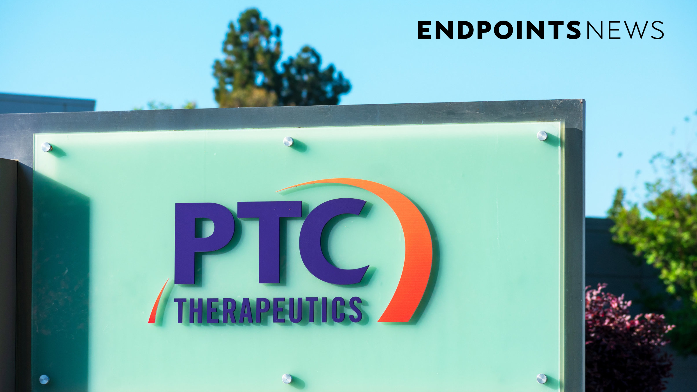 PTC's Huntington’s study succeeds, but accelerated approval uncertain