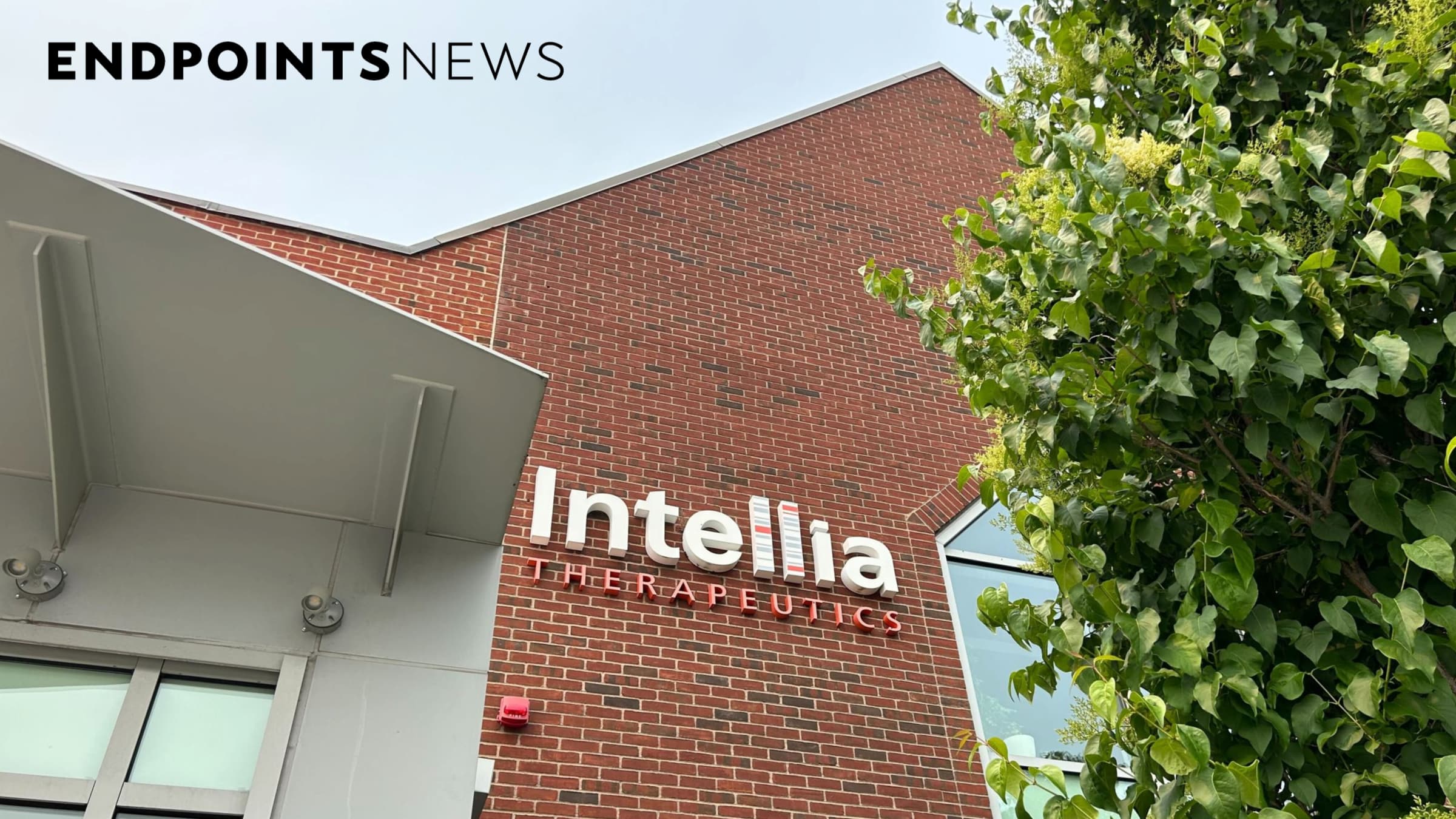 Intellia's CRISPR therapy likely causes 'permanent' gene knockdown in ATTR amyloidosis