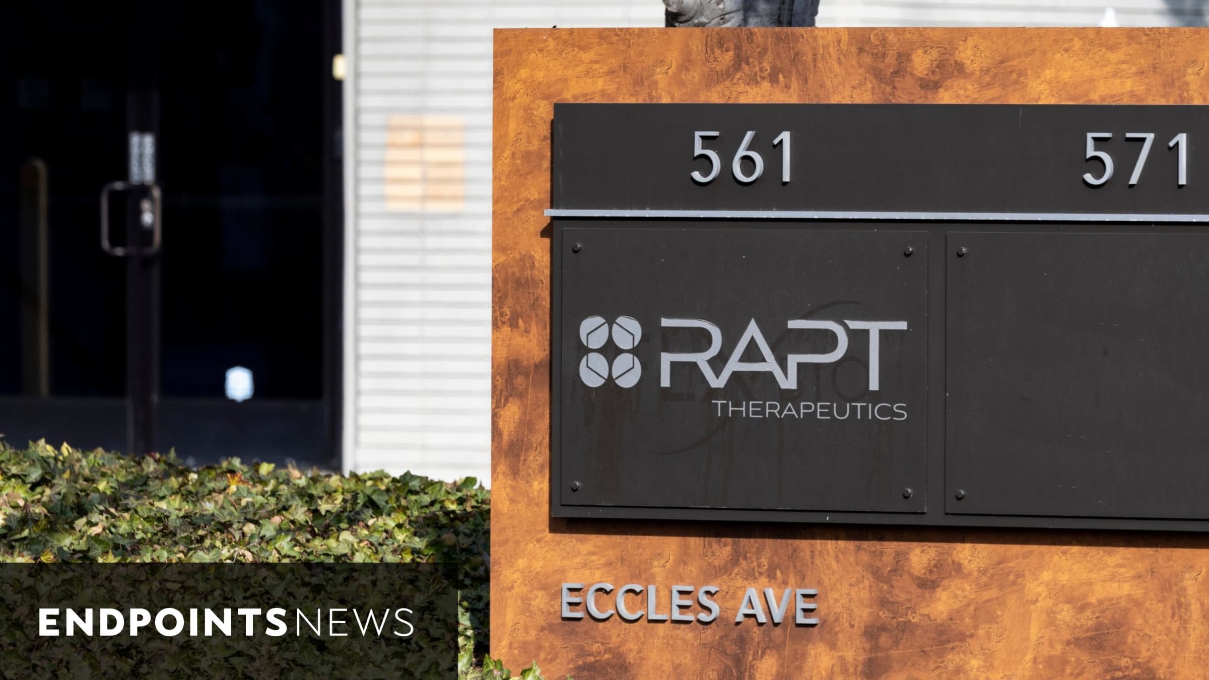 Rapt cuts immunology program following clinical holds