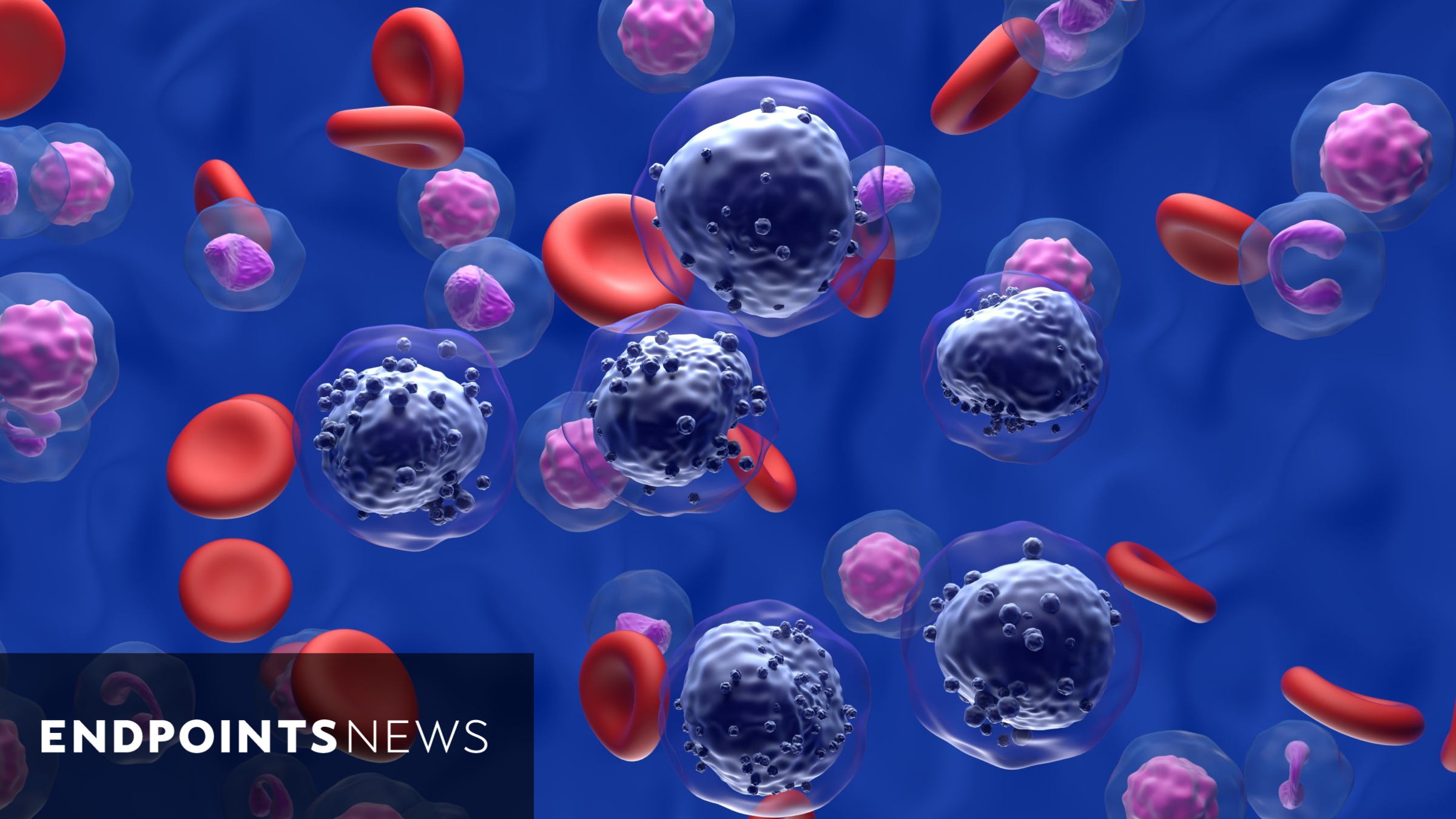 #ASCO25: Kura spells out pivotal AML trial win as it gears up to compete with Syndax